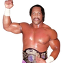 WCW Ron Simmons