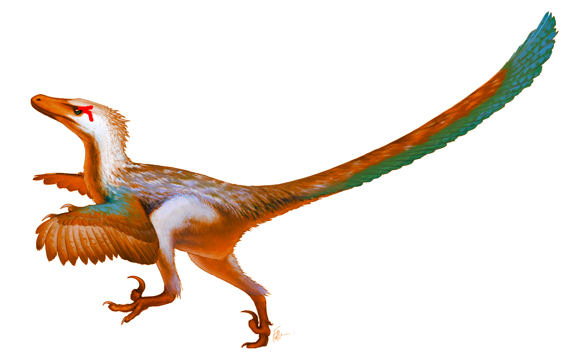 Scar Raptor Scar the velociraptor by zackarmejejs on DeviantArt