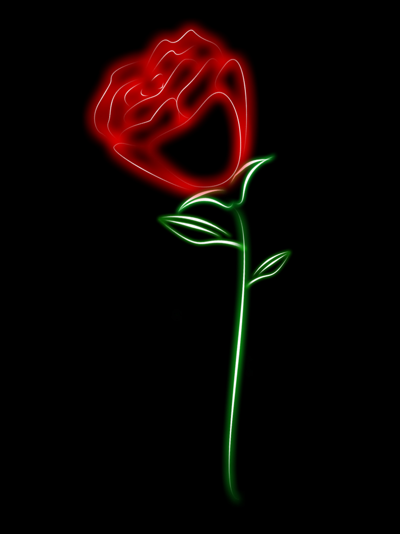 Glowing Rose