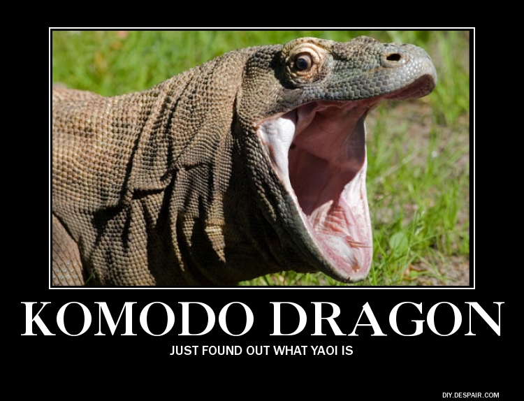 Komodo dragon by Essence13 on DeviantArt