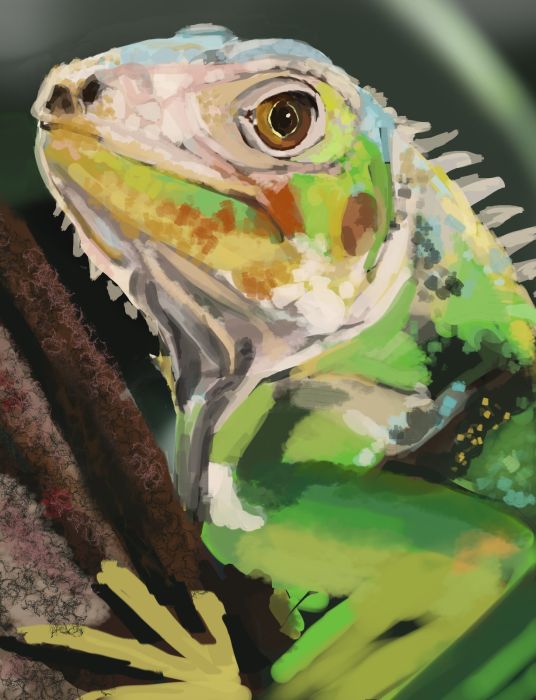 Iguana WIP