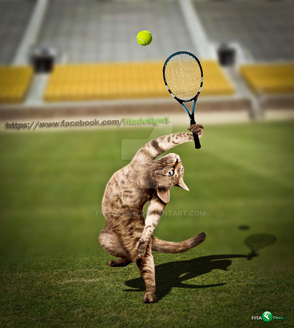 cat tennis by Fitadesign on DeviantArt