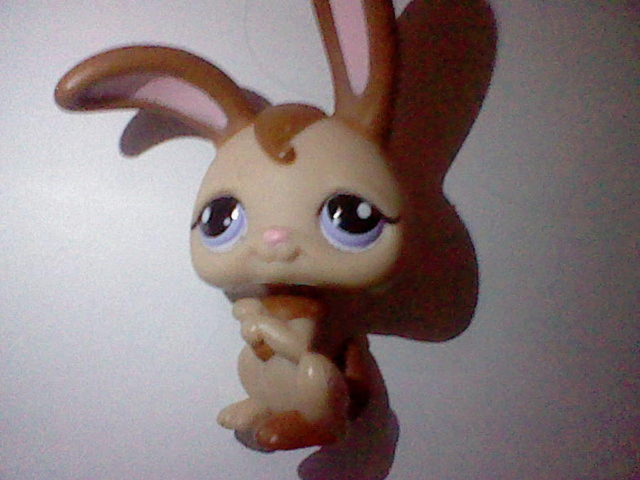 littlest pet shop rabbit 3 by AlbertWilliamJoker on DeviantArt