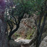 Caminos de Montserrat 2