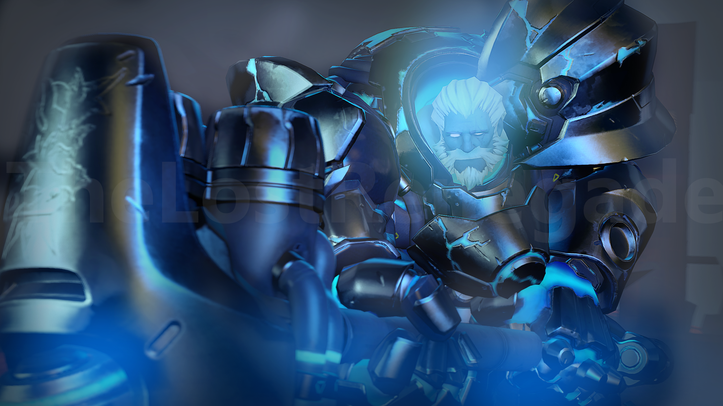 Coldhardt reinhardt hot sale