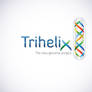 Trihelix
