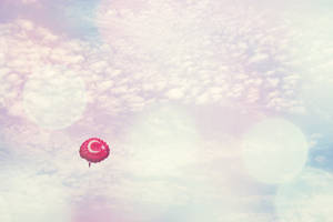 Turkey in sky