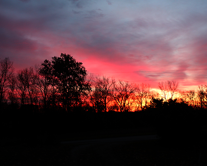 Rose Sunset