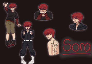 Sora Oshiro Full Reference