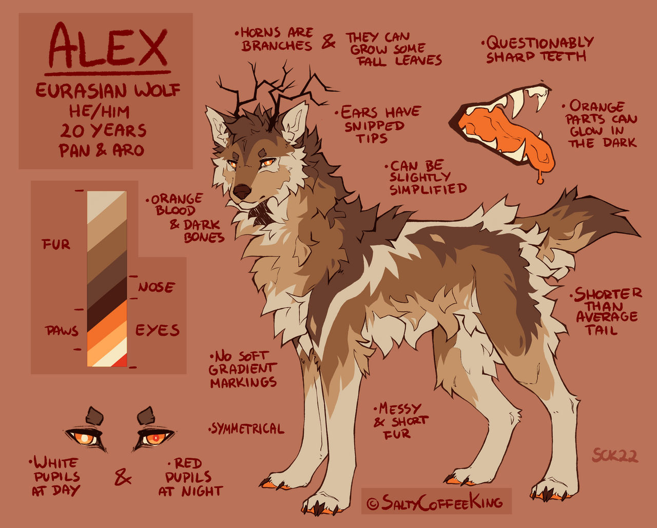 Sharp Wolf Reference Wolf ref by Morb1dCan1d on DeviantArt