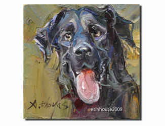 Black Dog 15x15cm