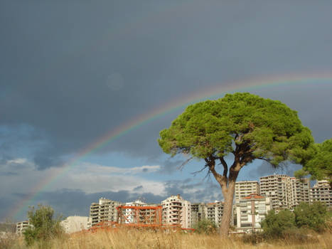 Apres la tempete...