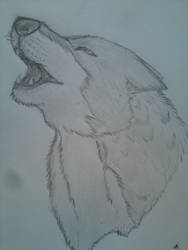 wolf howl