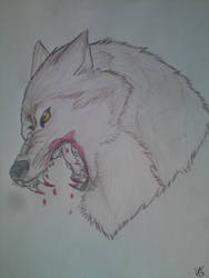 bloody wolf