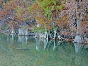 Perdernales River