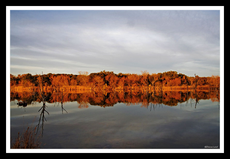 Inks Lake II