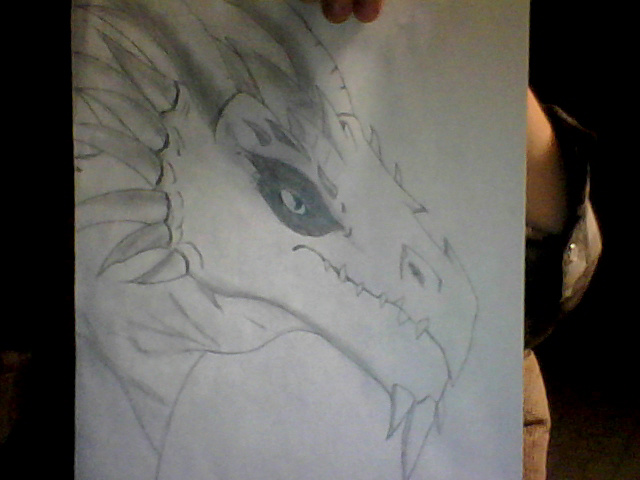 DRAGON YO