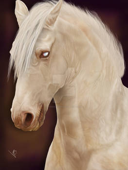 Pale Horse