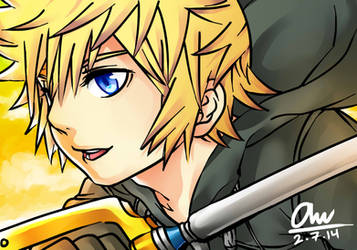 Roxas :3