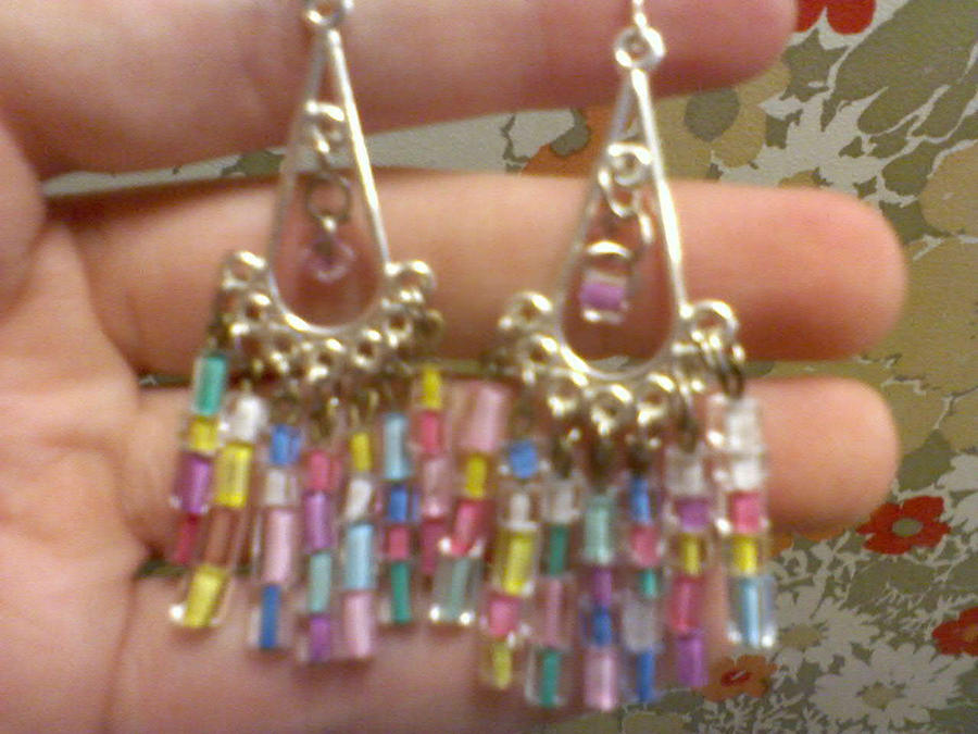 Multi Color and Charm Earrings