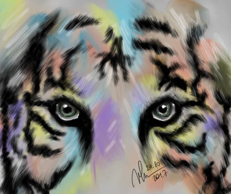 Tiger/ galaxy note10.1/