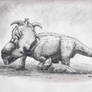 Pachyrhinosaurus Mudbath