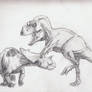 Anchiceratops vs Albertosaurus