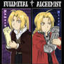 FMA - Reflection