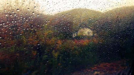 House, behind rain