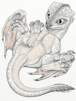 dragon hatchling in color (light variant)