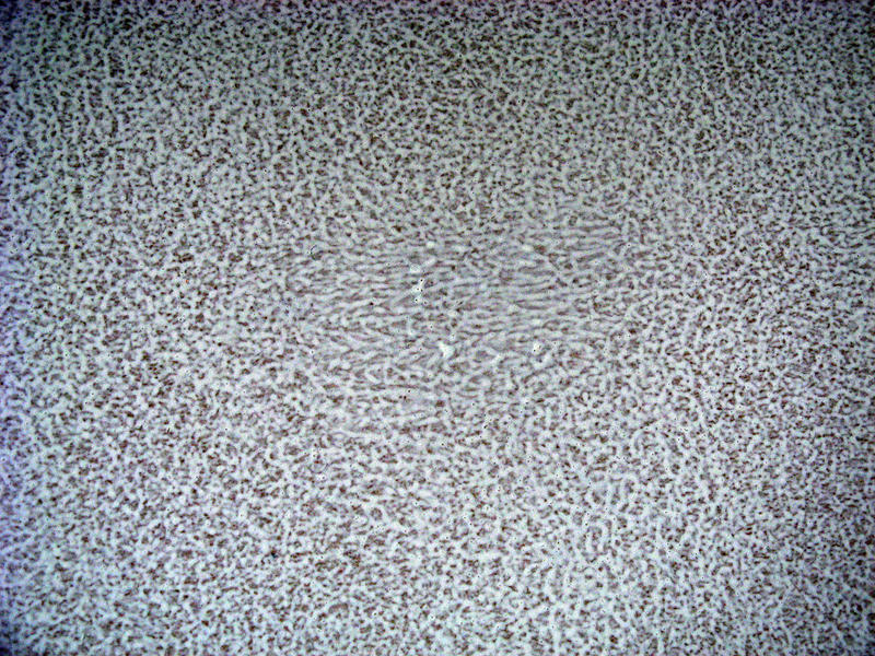 Testing Texture White White texture 1 by 212Stock on DeviantArt