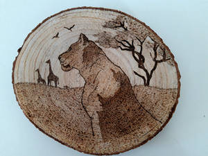 Lioness - Pyrography