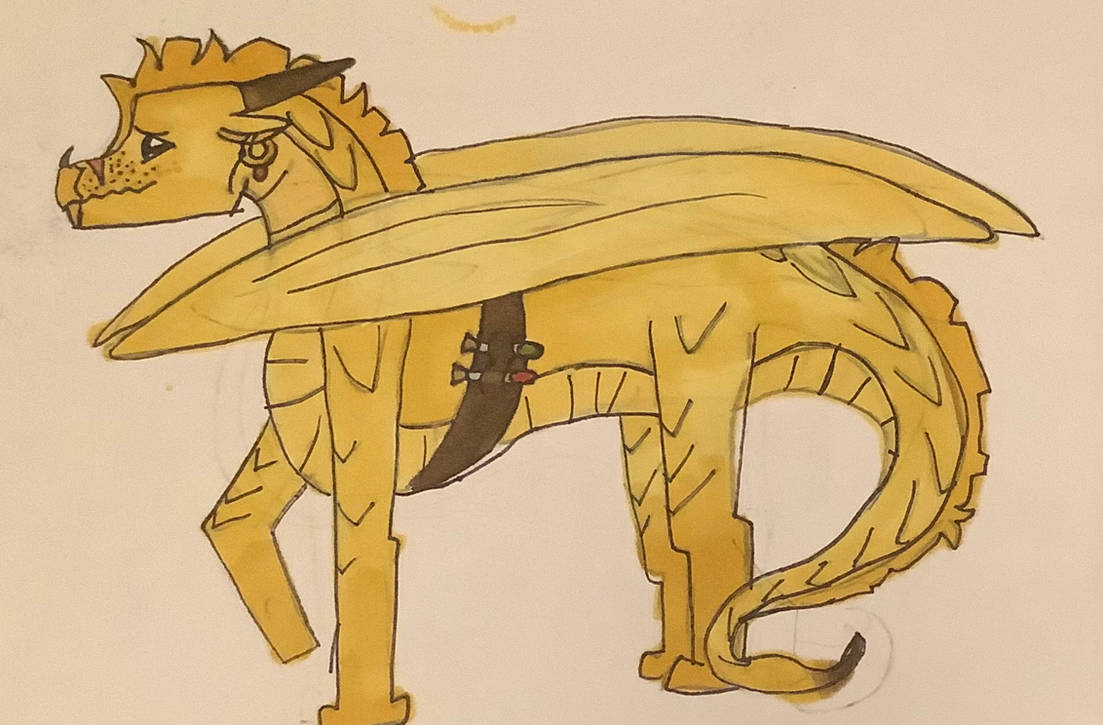 Qibli by Euc4lyptus on DeviantArt