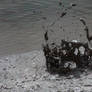 Bursting Mud Bubble - Wai-O-Tapu, New Zealand