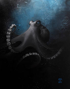 Octopus 4