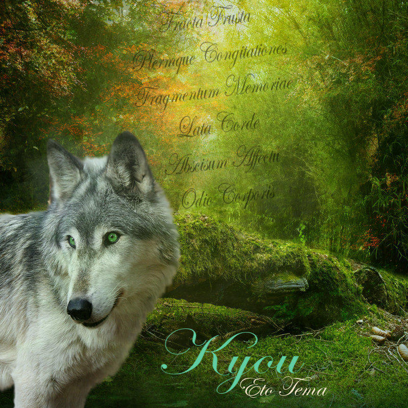 My character Kyou by XxwickedxwolfessxX on DeviantArt