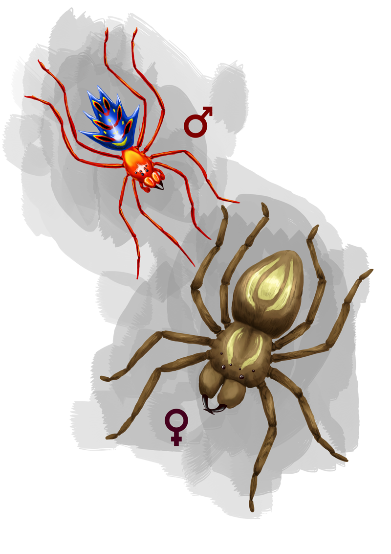 WIP - Terra-2 Matrimonal Spiders