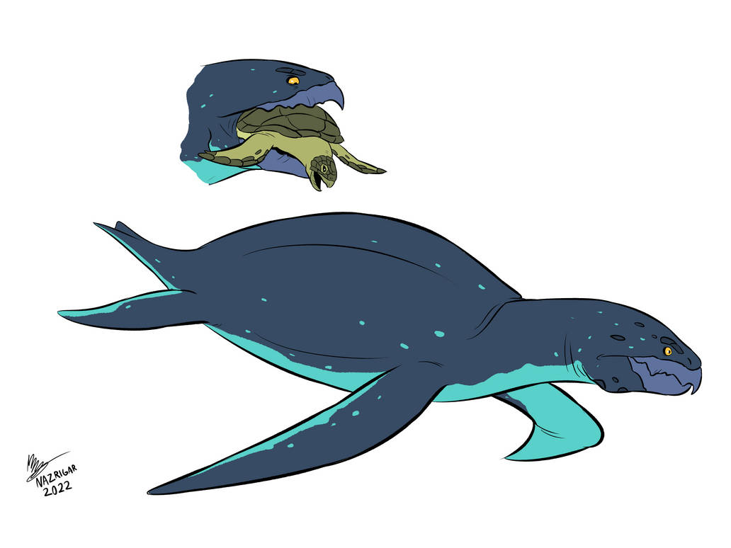 Ember Turtle Spectember 2022 - Predatory Sea Turtle Concept by NazRigar on DeviantArt