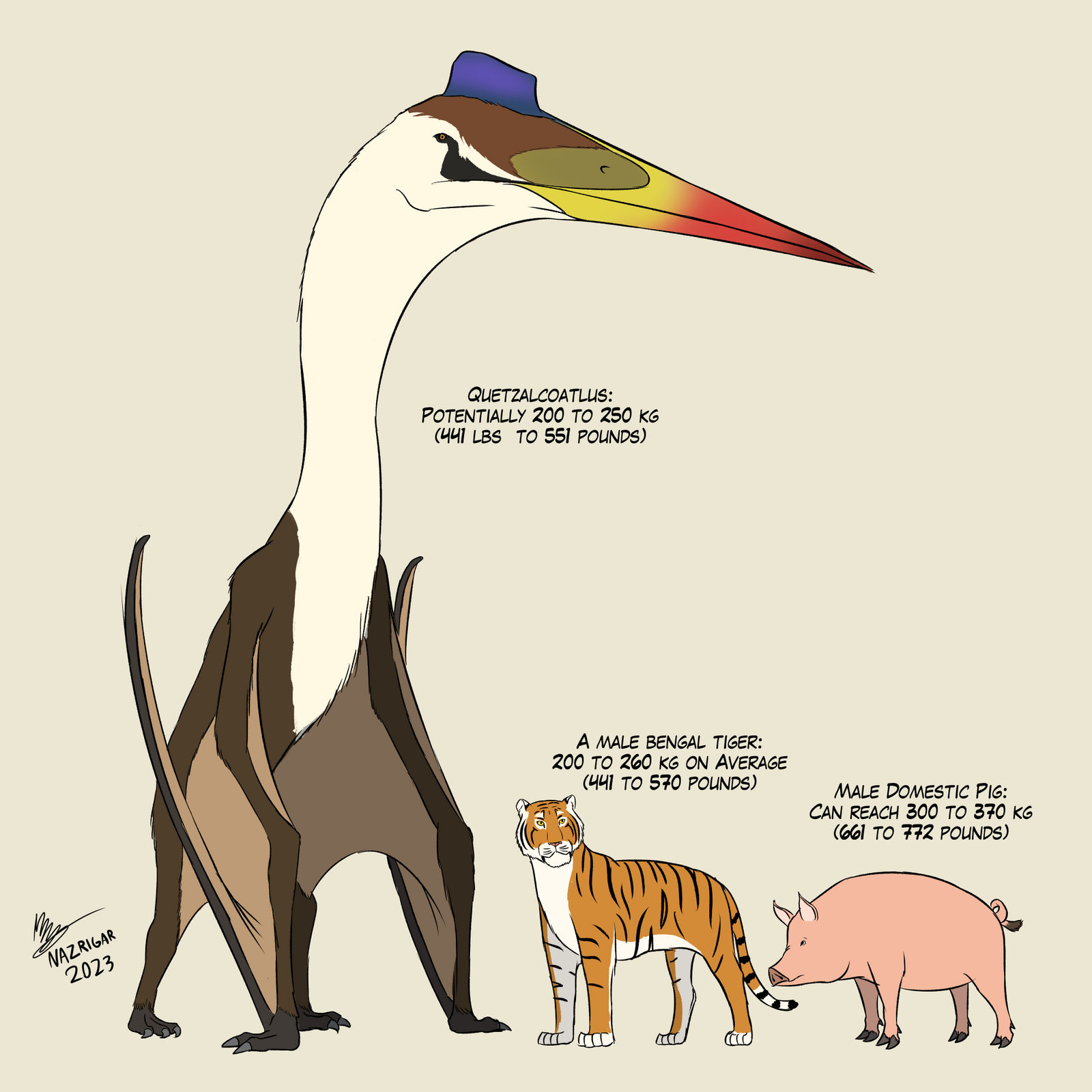 Quetzalcoatlus An Interesting Perspective By NazRigar On DeviantArt quetzalcoatlus-an-interesting-perspective-by-nazrigar-on-deviantart