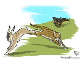 No Man's Land Spectember - Hares, Cats and Dogs