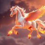 Father Phoenix, mother Pegasus