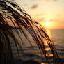 Dusk at sea