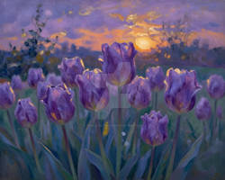 Purple serenity