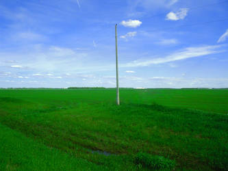 Hydro Pole