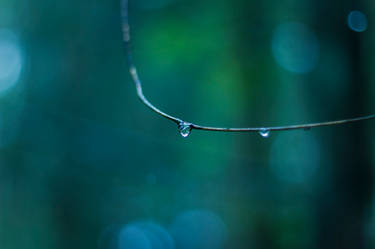 Water drop