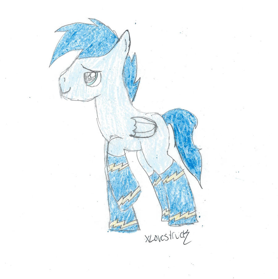 Soarin- Socks