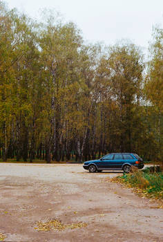 Autumn Audi