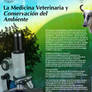 poster medio ambiente 3