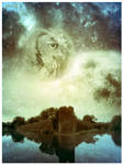 Owl moon by GlenMF