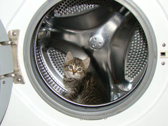 In washing machine